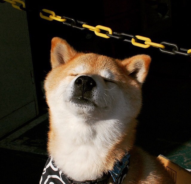 _全民趣味网球赛：家长与孩子的快乐时光_，网球趣味体育游戏