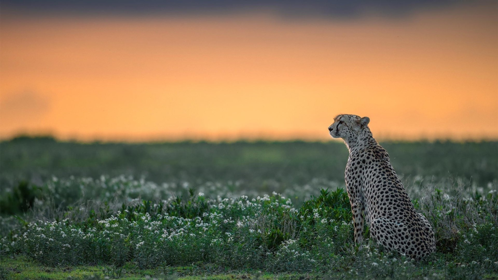 九游(jiuyou)官方网站-_场馆升级推动城市体育形象提升_，体育场馆改革方向