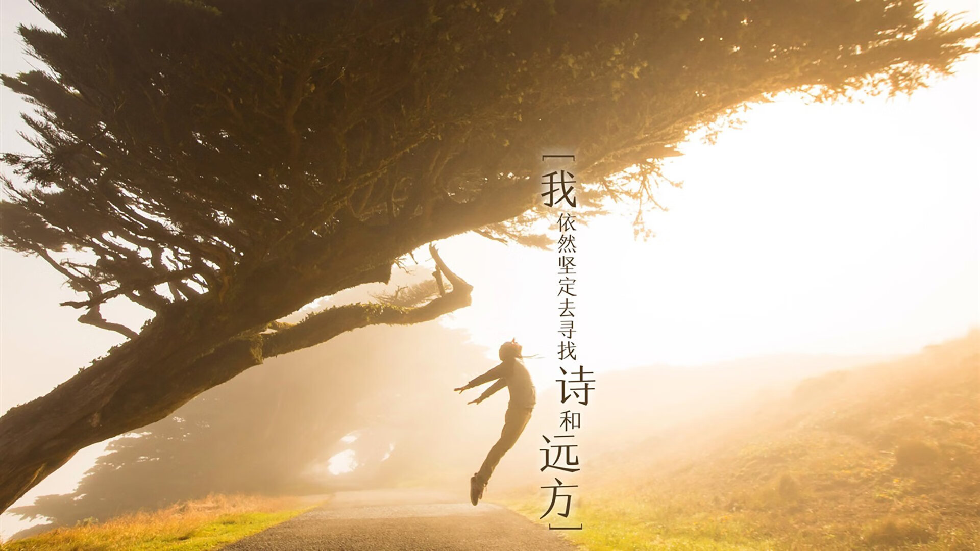 九游娱乐(jiuyou)官网-_勇士战术升级，赢得关键比赛_，勇士 战术