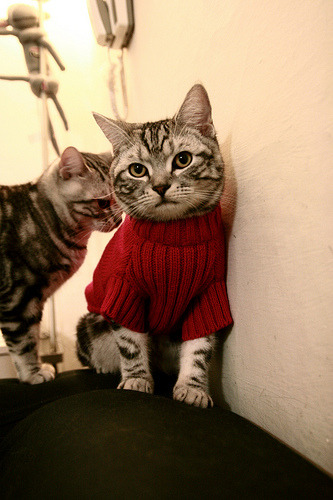 _勇士战术升级，赢得关键比赛_，勇士 战术