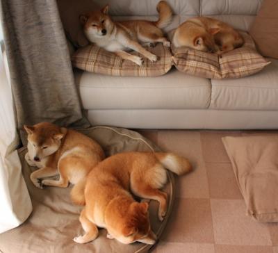 九游网-_勇士三分雨不断，场场火力全开_，勇士 三分