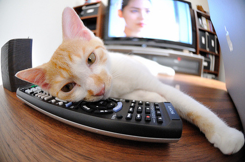 九游娱乐(jiuyou)官方网站-_鹈鹕队士气高涨，冲刺季后赛_，鹈鹕 队