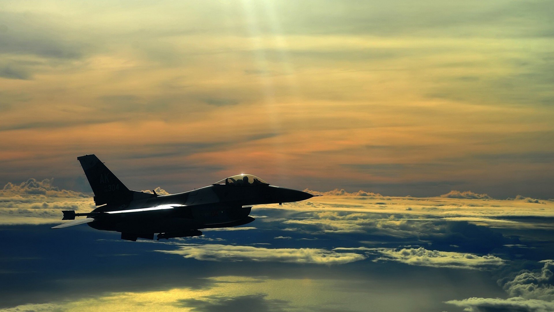 比利时骑手多米安·米歇尔斯在2024年巴黎奥运会盛装舞步比赛中以“Dante”马匹获得第六名，展现坚韧精神。