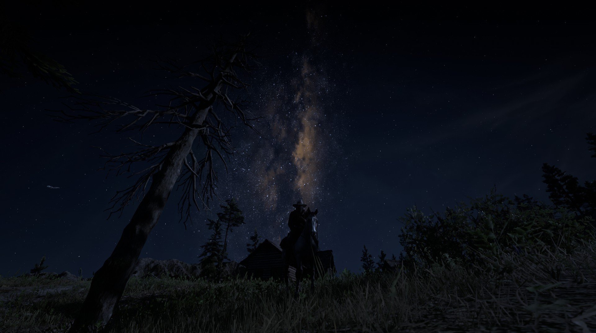 JIUYOU GAMING-海耶斯执教首赛季即带领美国女足问鼎奥运，海耶vs