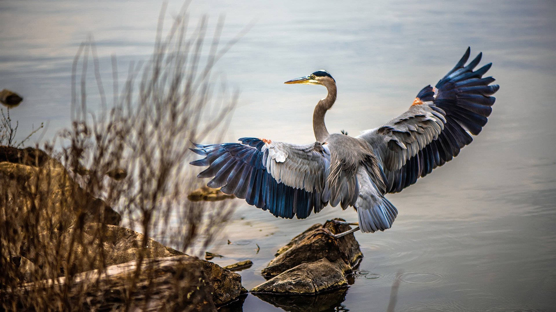 足球比赛中的“黑幕”揭秘：事实还是猜测？，足球比赛黑哨
