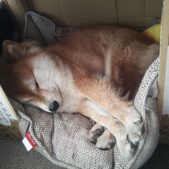 高空空中飞人秀，极速飞跃极限挑战极致视觉体验，空中飞人项目视频