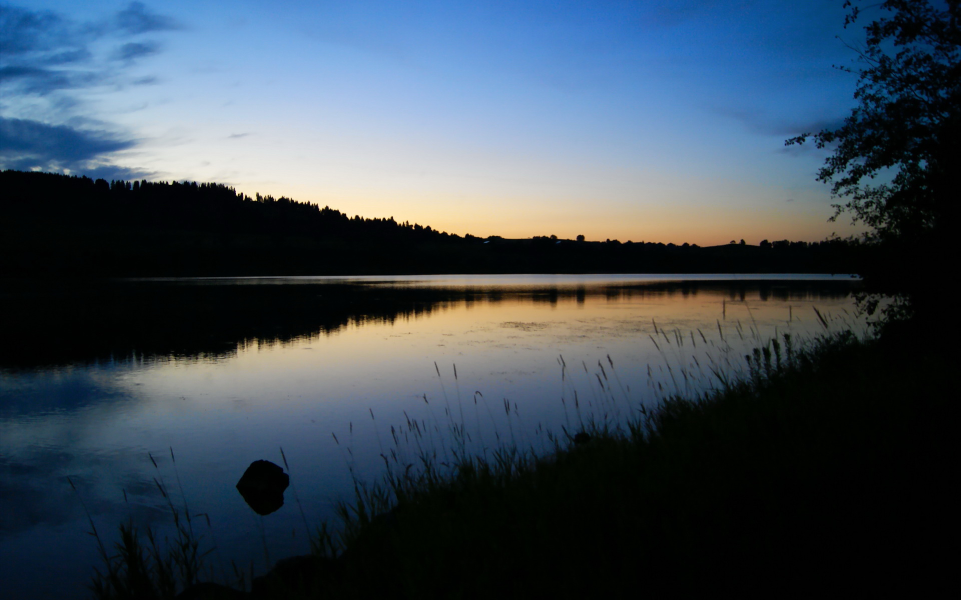 九游网页版官网-切尔西女足比赛数据统计分析，切尔西女足什么水平