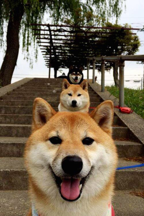 -布伦特福德客场战平对手，保级形势平稳，布伦特福德ds战绩