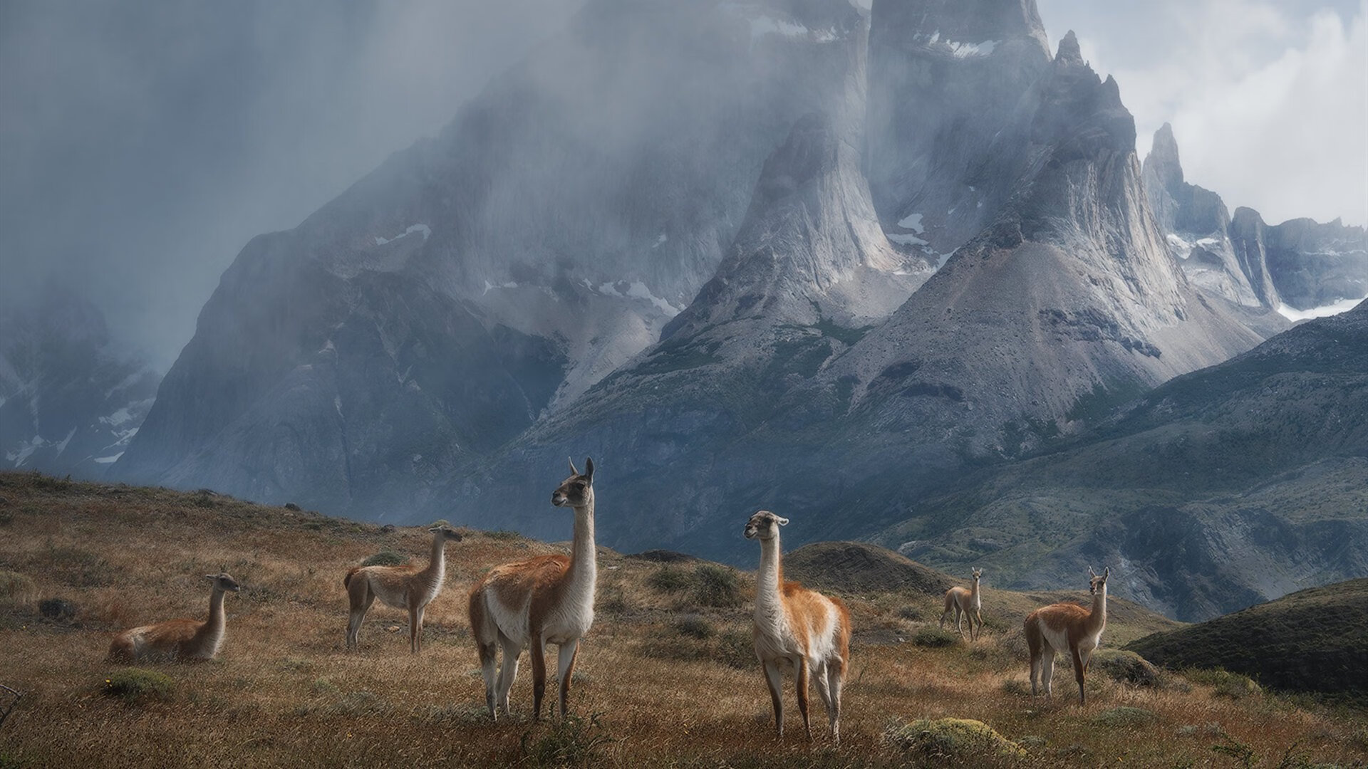 九游娱乐官网 (JIUYOU)-电竞主播内容版权保护现状及法律应对措施分析，电子竞技直播侵犯著作权吗