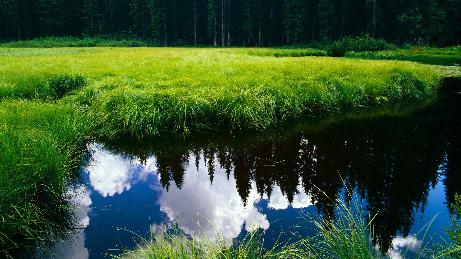 红军在欧冠四分之一决赛中被淘汰,止步八强,欧冠红军是哪个队