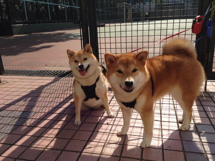 莱加内斯客场逼平比利亚雷亚尔，表现抢眼，莱加内斯球员名单
