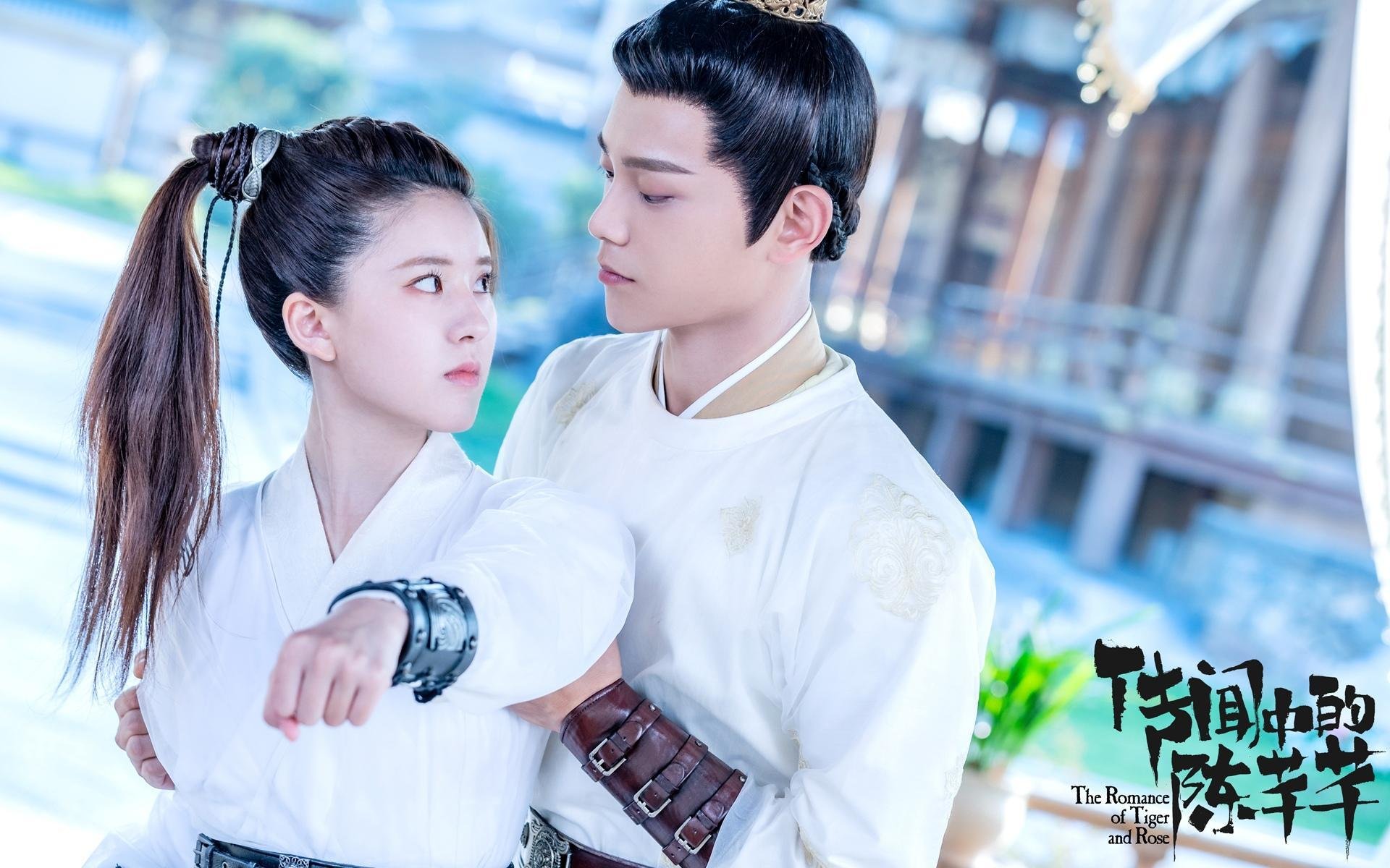 霍芬海姆挑战弗莱堡，客场作战求取胜利，霍芬海姆的老板