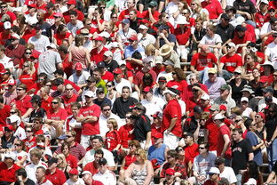 九游登录入口-体育赛事观众行为特征与管理对策，观众对体育赛事的意义