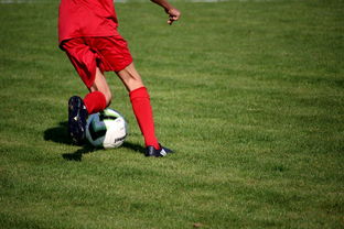 九游娱乐官网 (JIUYOU)-篮球运动员心理素质测评体系构建，篮球运动员心理素质的重要性