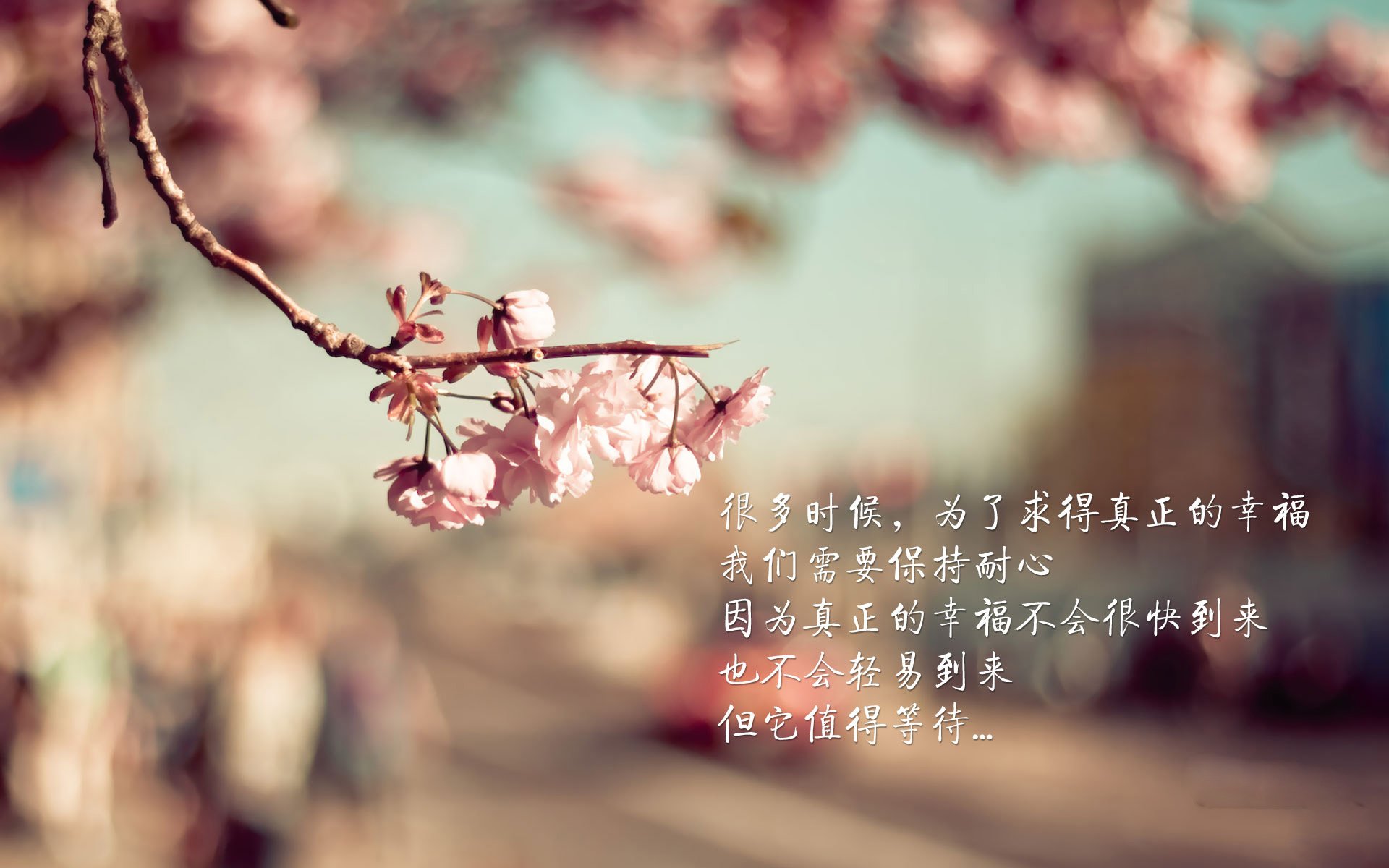 高校体育赛事品牌传播策略创新，体育赛事营销有哪些创新方式