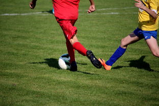 九游登录入口-仰泳大战美队领先毫厘之间，仰泳比赛视频欣赏