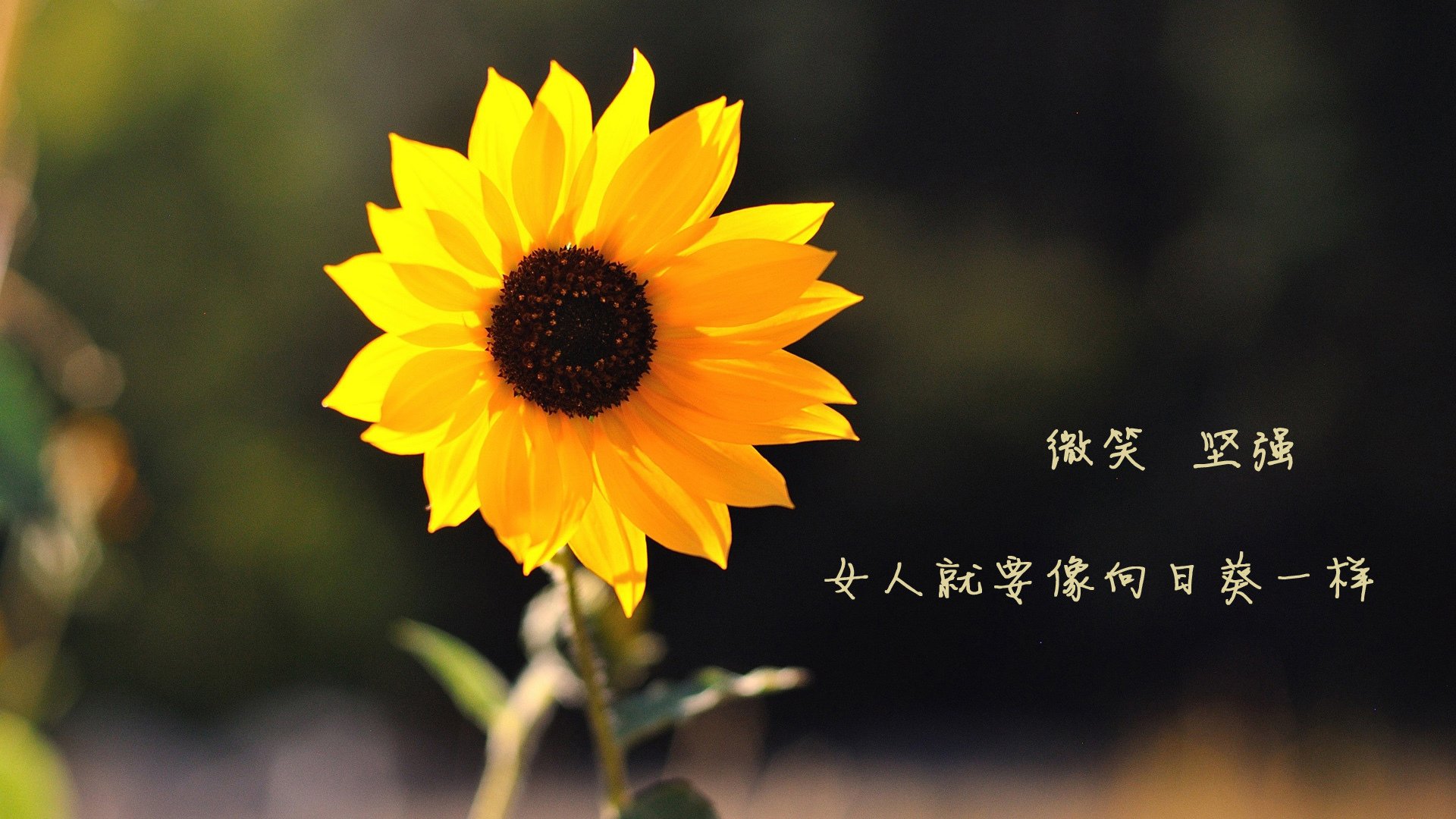 国际热身赛中国青年队战平 球员状态稳定，中国队热身赛安排