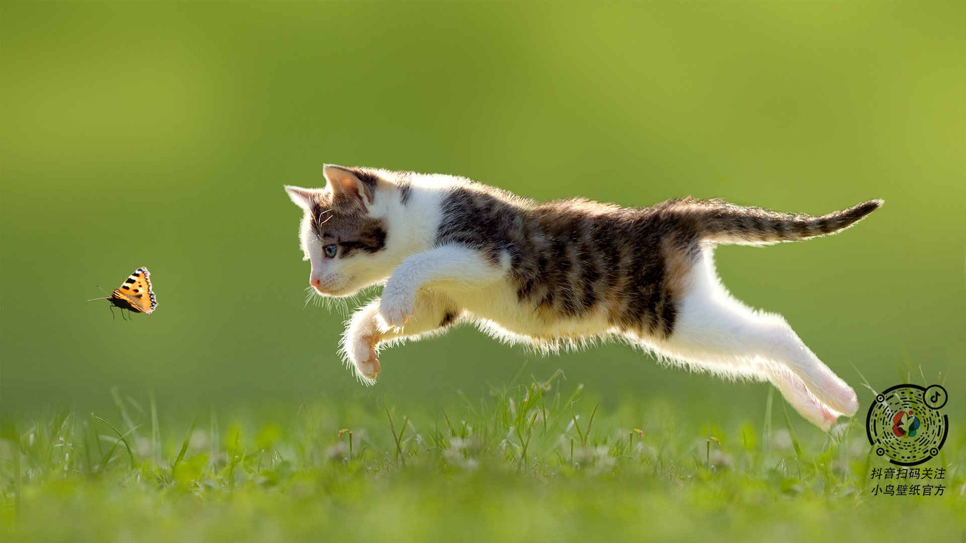 九游官网下载电脑版-拜仁反击决断快，终结效率高，拜仁收官战