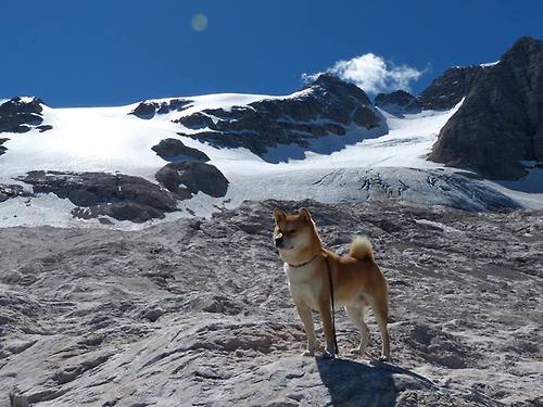 九游正版入口-波兰队赛制解析：赛制中的团队协作与个体技术提升，波兰地区联赛