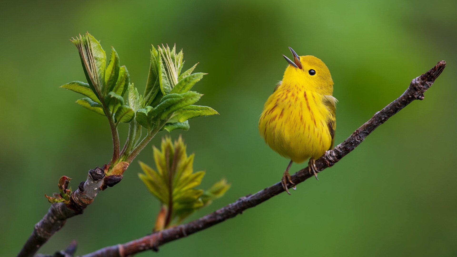 足球教练培训体系改革新方案出台，业余足球教练培训要求