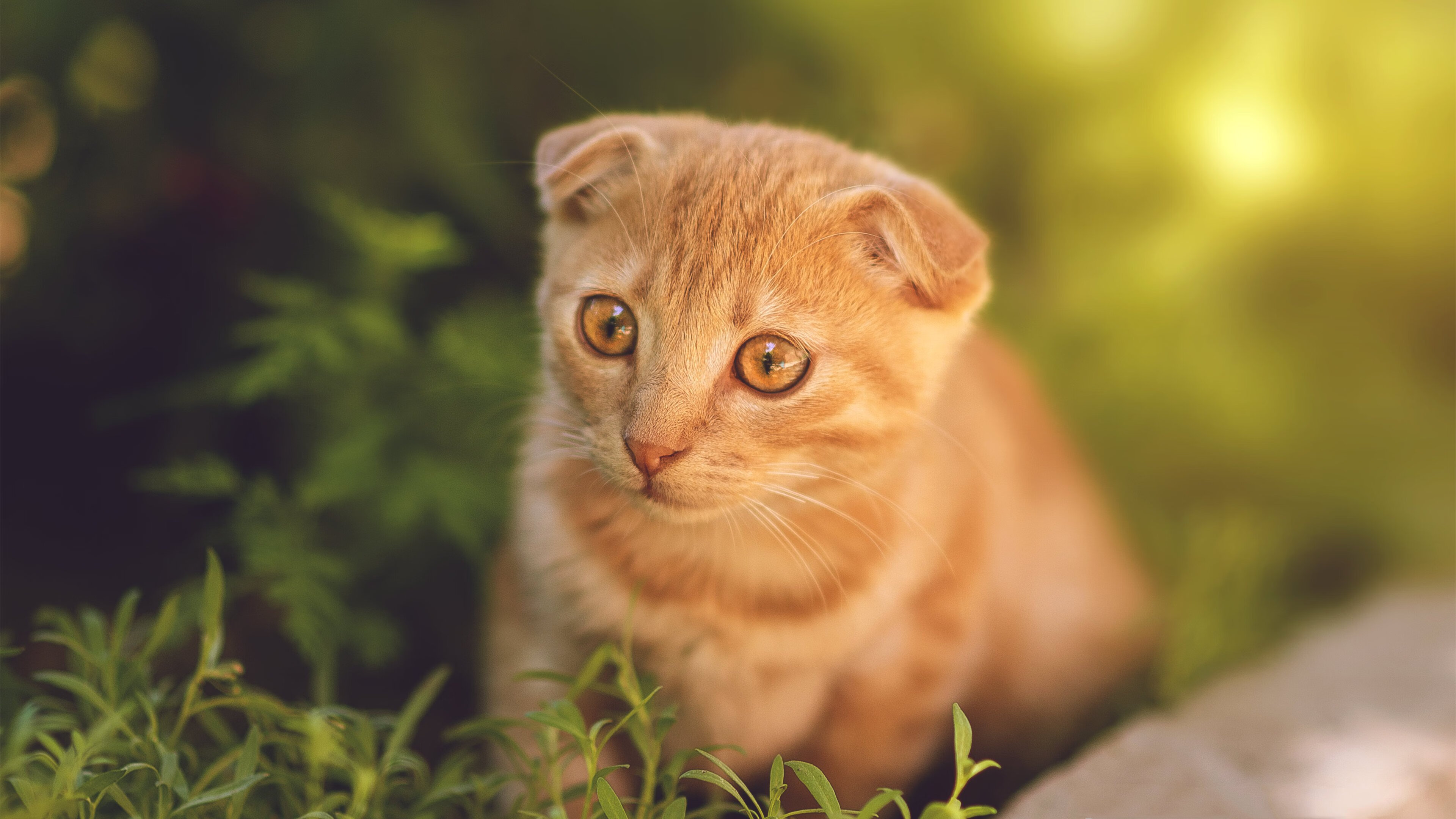 冬季两项运动员备战奥运会,冬季两项知名运动员