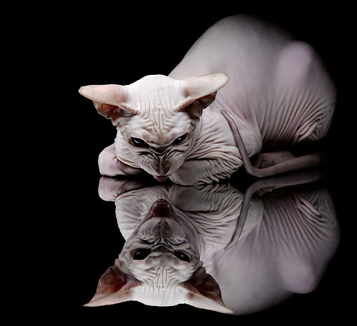 九游娱乐(jiuyou)官网-女子篮球青训注重身体素质与技术结合，女子篮球队训练内容