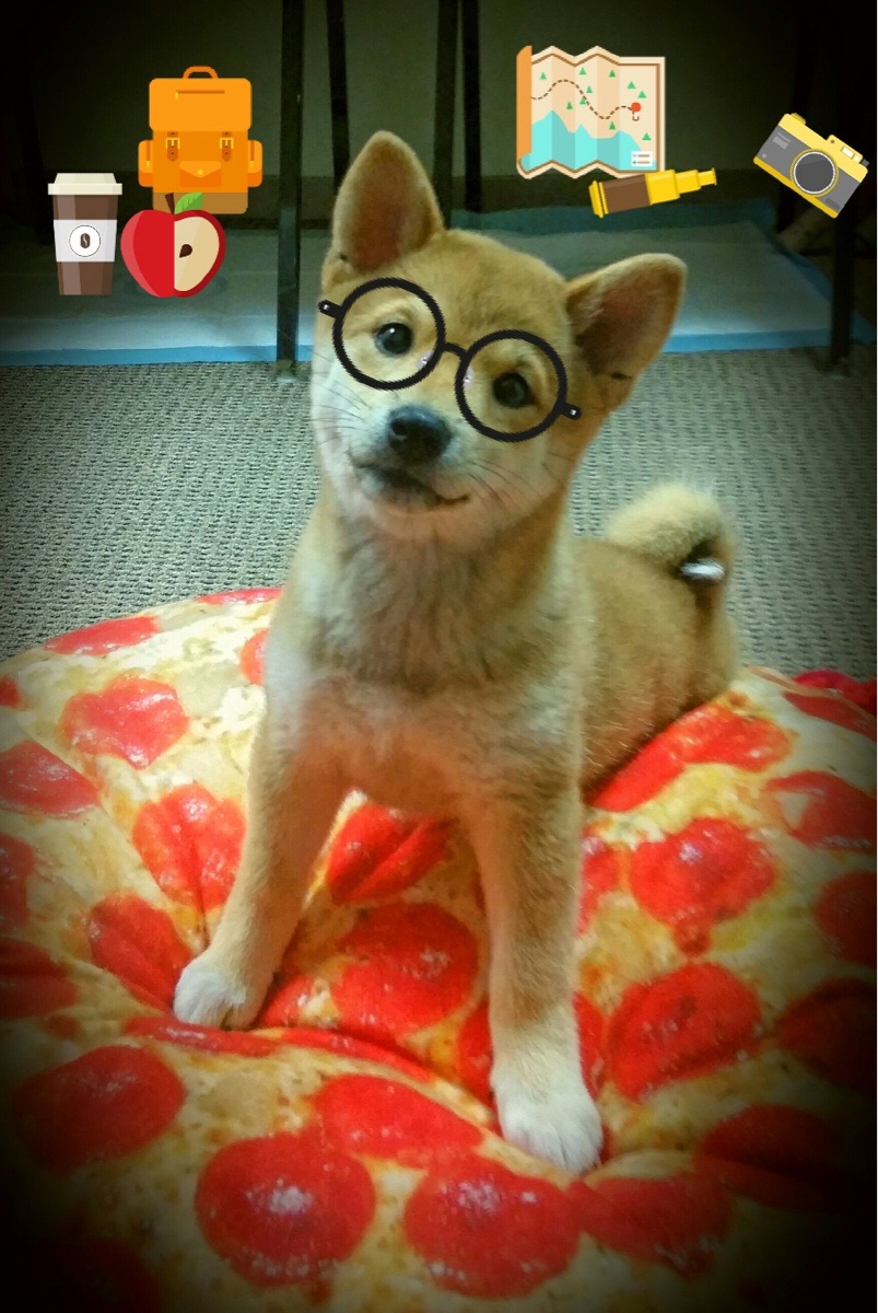 火箭年轻后场组合获得媒体好评，火箭年轻时候的照片