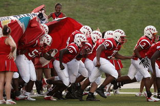 九游体育在线-全国青少年武术越野赛在成都举行,全国青少年俱乐部武术套路赛
